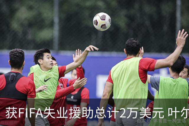获FIFA失业援助总计2万美元 叶尔杰提成中国球员第一人